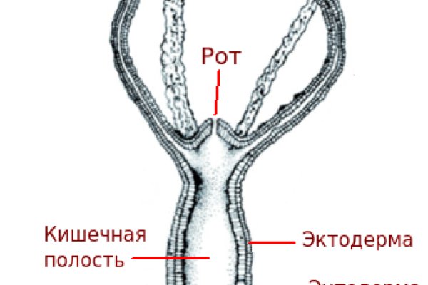 Кракен дарк ссылка