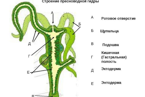 Kraken это современный маркетплейс