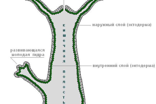 Актуальные ссылки кракен на 2025