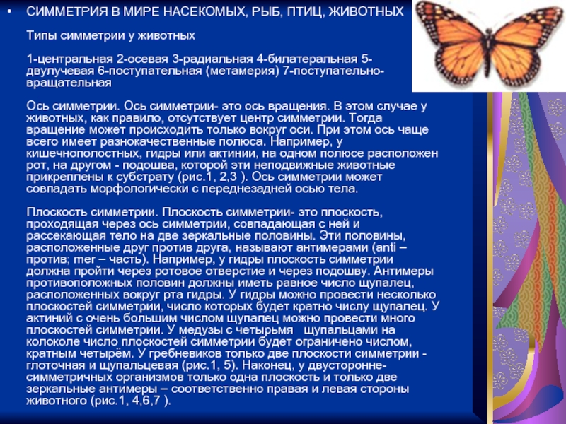 Что такое кракен маркет